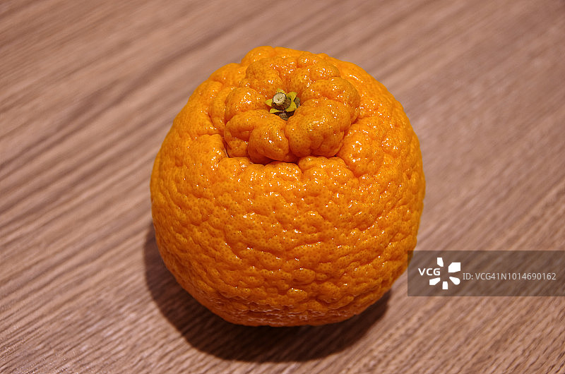 Dekopon(柑橘网)也被称为相扑橘子图片素材