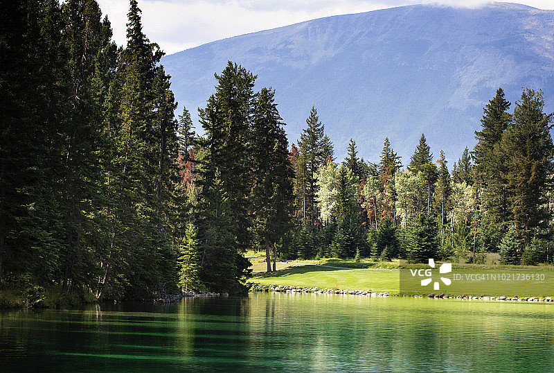 高尔夫球场沿湖在贾斯帕公园旅馆在阿尔伯塔，加拿大图片素材