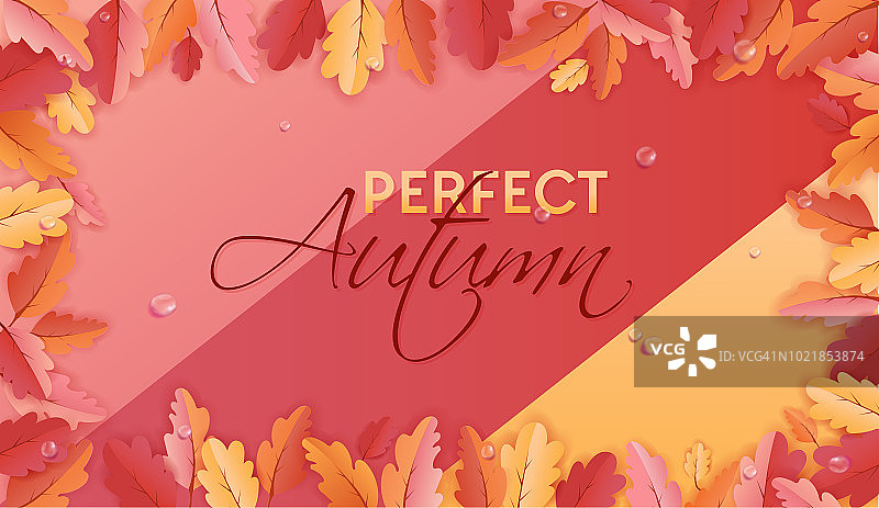 美丽的树叶和雨滴的秋天背景模板，为网络横幅，卡片模板，墙纸，封面，邀请的纸艺术的秋天插图图片素材