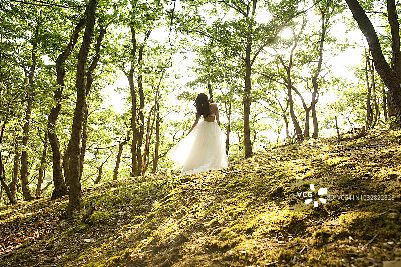 后视图的年轻女子在森林穿着薄纱裙图片素材