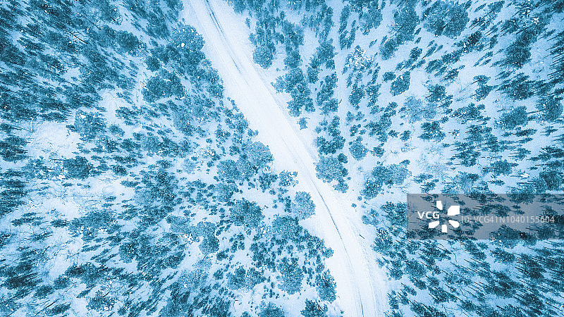 风景鸟瞰图的道路通过针叶林在冬天，拉普兰，芬兰。由无人机从正上方拍摄。图片素材