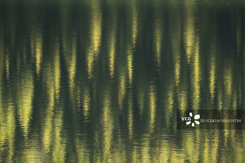 加拿大阿尔伯塔省卡那纳斯基郡，Rawson湖，水面上的树梢倒影图片素材