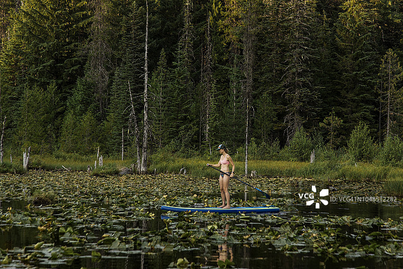 一个年轻的女人划着她的立式桨板(SUP)在一个高山湖泊在一个火山基地在日落在俄勒冈州。图片素材