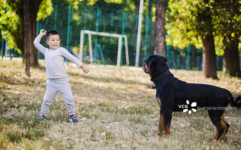 一个男孩在公园里向他的狗扔球图片素材