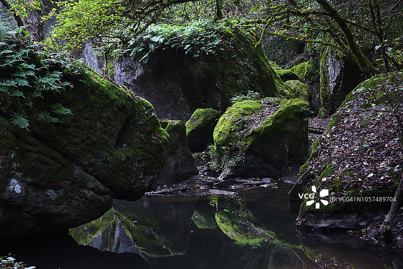 大岩石上覆盖着青苔，倒映在野生森林的池塘里。图片素材