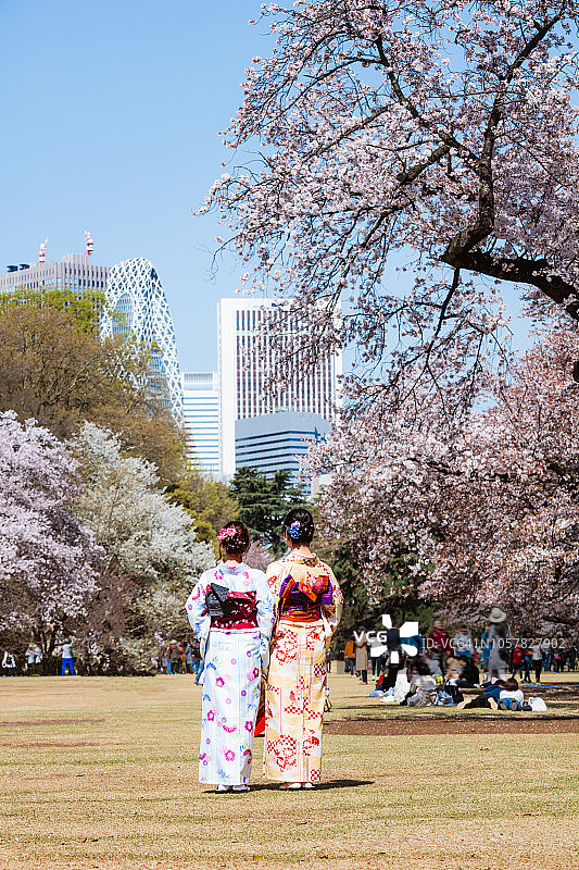 东京春天的公园里，两个穿着和服的女人图片素材