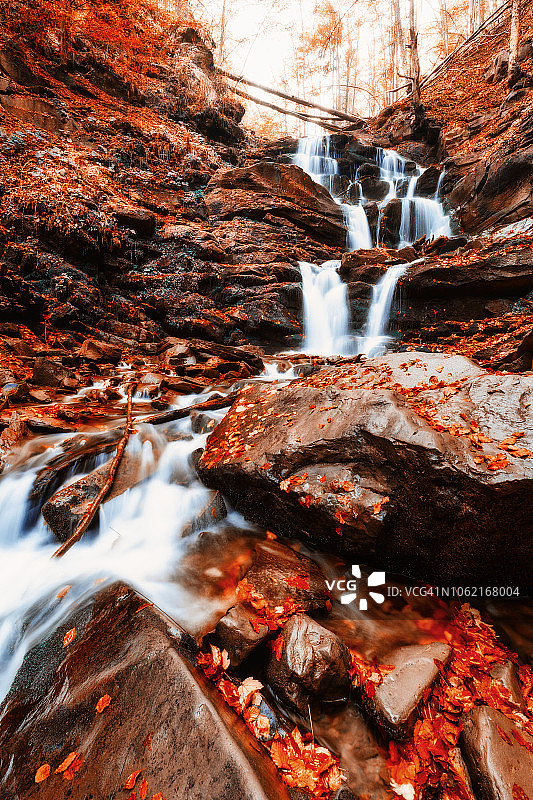 秋天森林里的瀑布。明亮的红色树叶图片素材