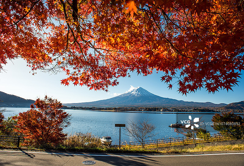 七彩秋色，川口湖的富士山晨雾和红叶是日本最好的地方之一图片素材