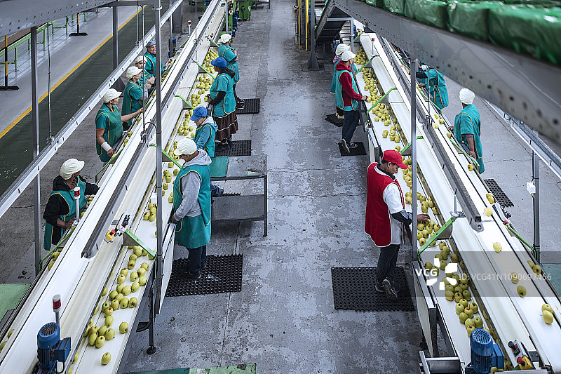 在苹果工厂工作的妇女图片素材