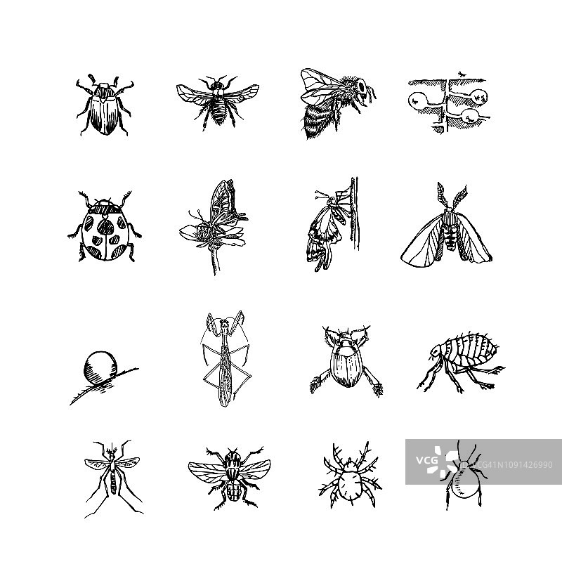 Bug草图图片素材