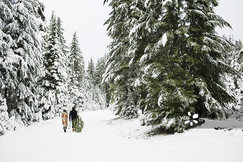 后视图的夫妇与松树走在白雪覆盖的田野在森林图片素材