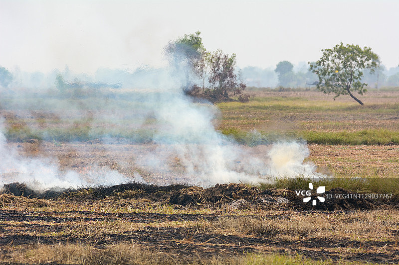燃烧杂草在田间是污染烟雾的原因之一图片素材