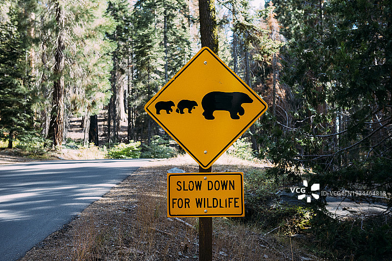 美国，加利福尼亚州，红杉国家公园，动物十字路口标志，熊妈妈和熊宝宝的家庭图片素材