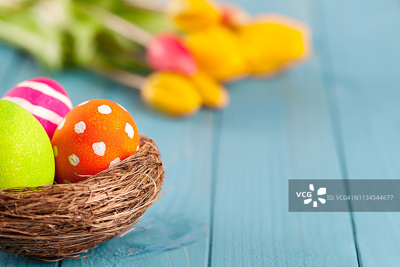 五颜六色的复活节彩蛋在复活节巢与郁金香在蓝色的木制背景图片素材