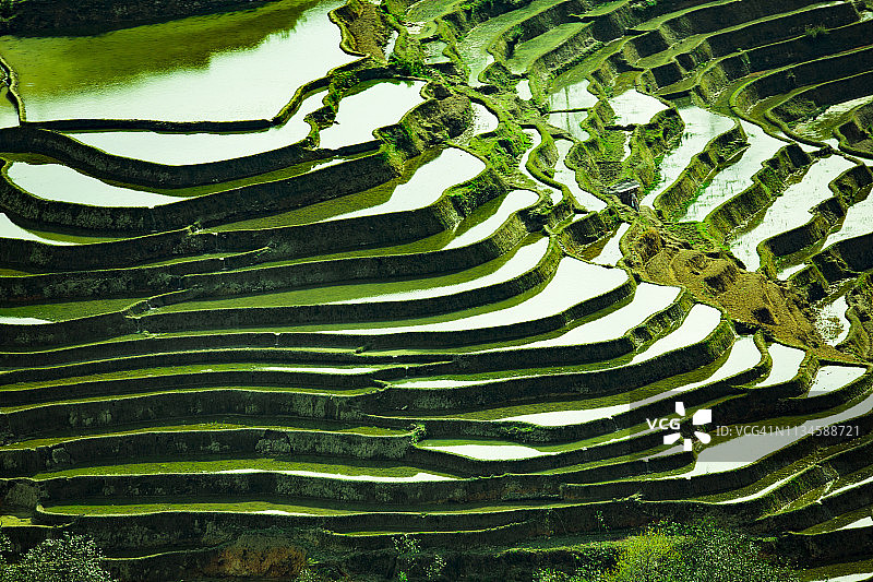 中国原阳水季的梯田图片素材