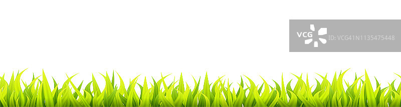 鲜艳的春日草坪横幅。无缝夏草或春草装饰。新鲜的绿色植物的高度。图片素材