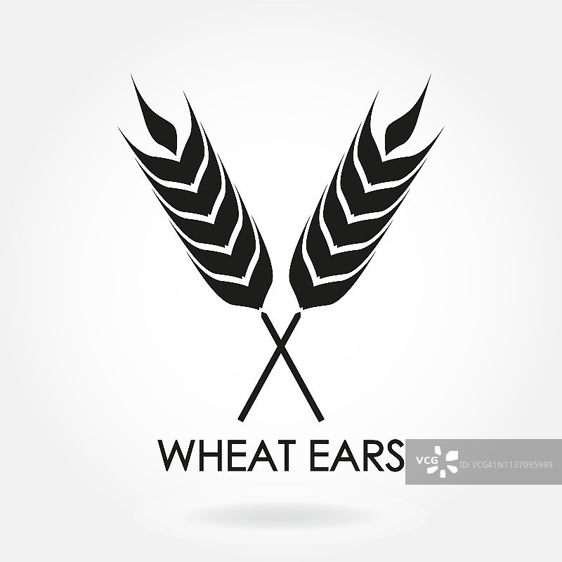 小麦穗或水稻的图标。在白色背景上孤立的作物，大麦或黑麦符号。啤酒标签或面包包装的设计元素。矢量插图。图片素材
