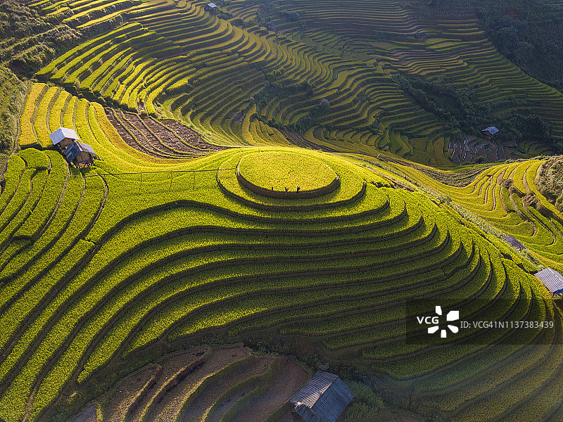 越南的梯田景观图片素材