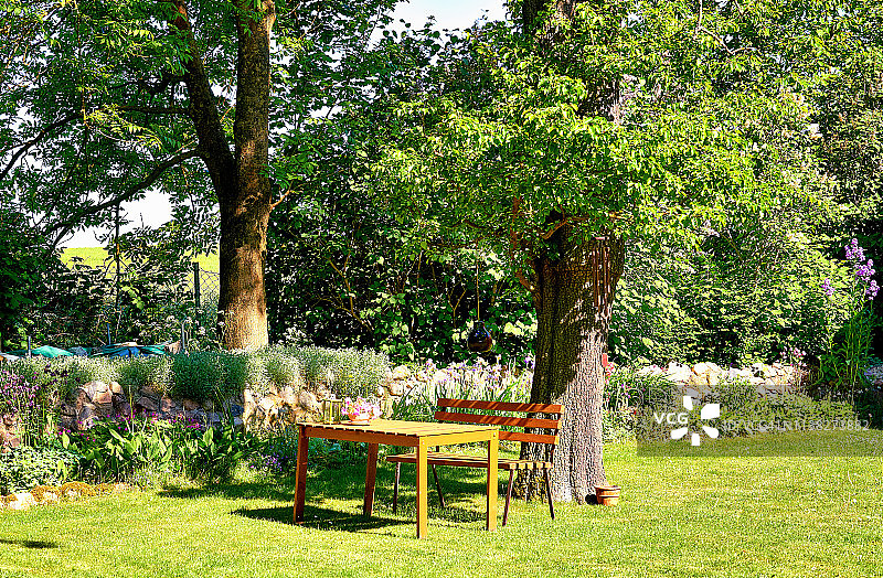 花园里一棵老树下的木桌和长凳。图片素材