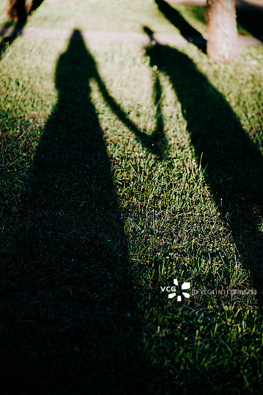 牵手的情侣剪影在草地上的爱情阴影图片素材