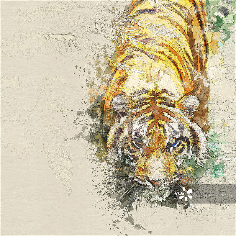 孟加拉虎-混合数字技术图片素材
