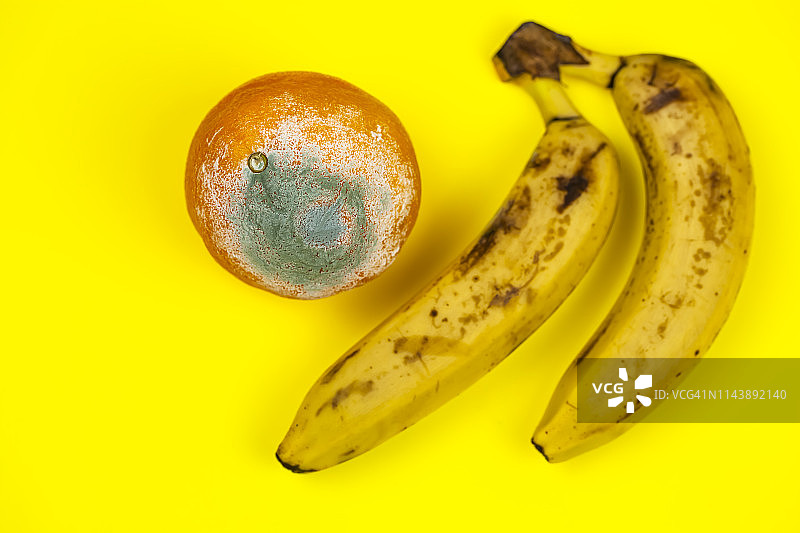 水果的陈化过程图片素材