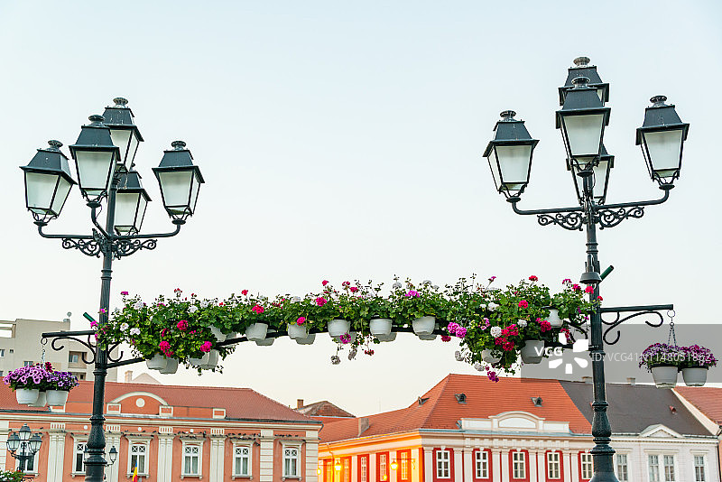 Timisoara联合广场的鲜花图片素材