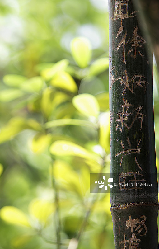 把汉字刻在竹子上。图片素材