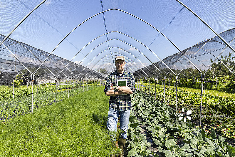 农民的肖像与数字平板电脑在温室图片素材