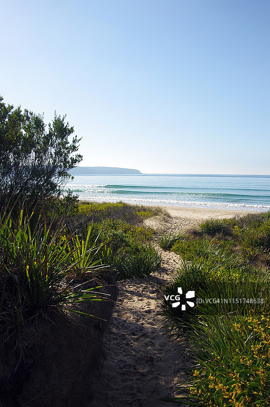 穿过沙丘到达澳大利亚新南威尔士州的Merimbula海滩图片素材