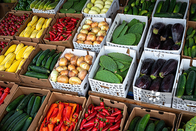 农贸市场的蔬菜、辣椒、洋葱、南瓜、黄瓜、茄子、玉米、仙人掌叶等盒装产品。图片素材