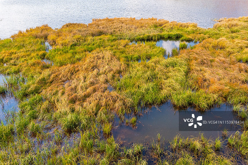 湿地自然景观图片素材
