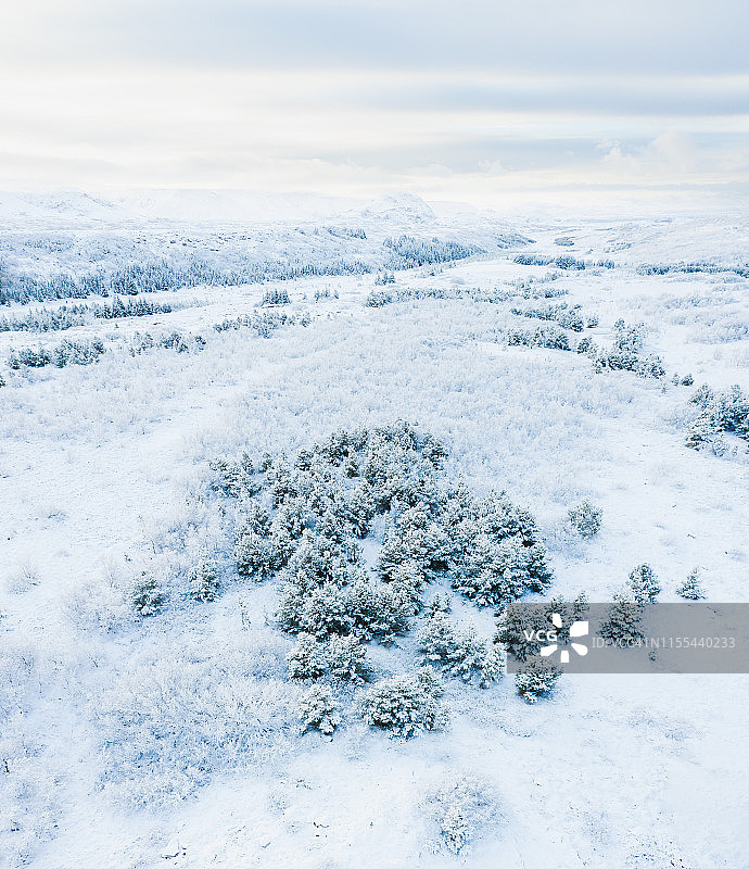 雪中的树木和田野图片素材