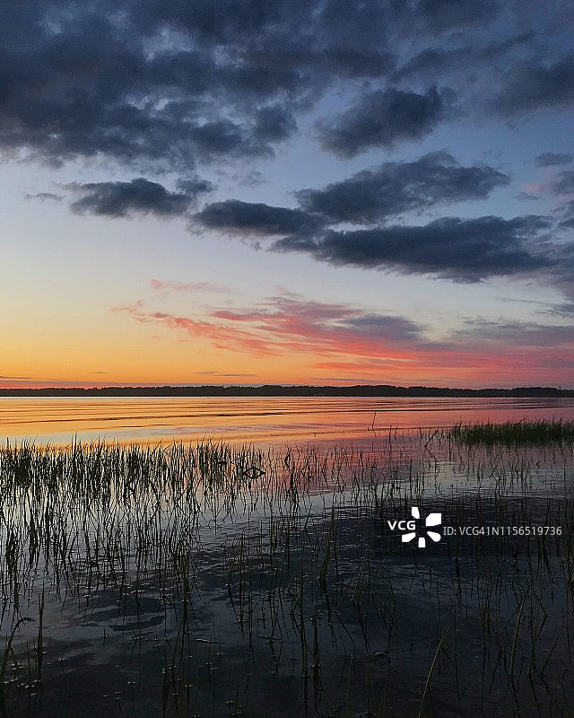 日落的湿地草在阿萨提格岛图片素材