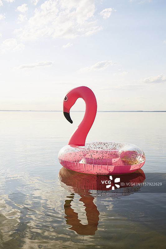 充气的粉红色火烈鸟在湖里游泳图片素材