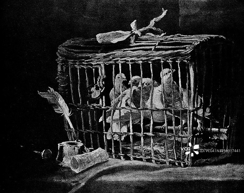 《鸽子》作者:菲利普·卢梭——19世纪图片素材
