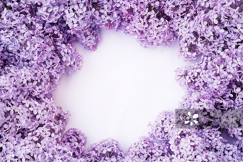 白色背景上美丽的紫丁香。轮组成,copyspace。适合设计贺卡、请柬、婚礼背景图片素材