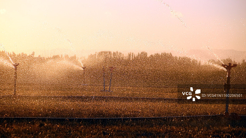 采购产品灌溉设备，农业水洒水器灌溉农场植物作物田图片素材