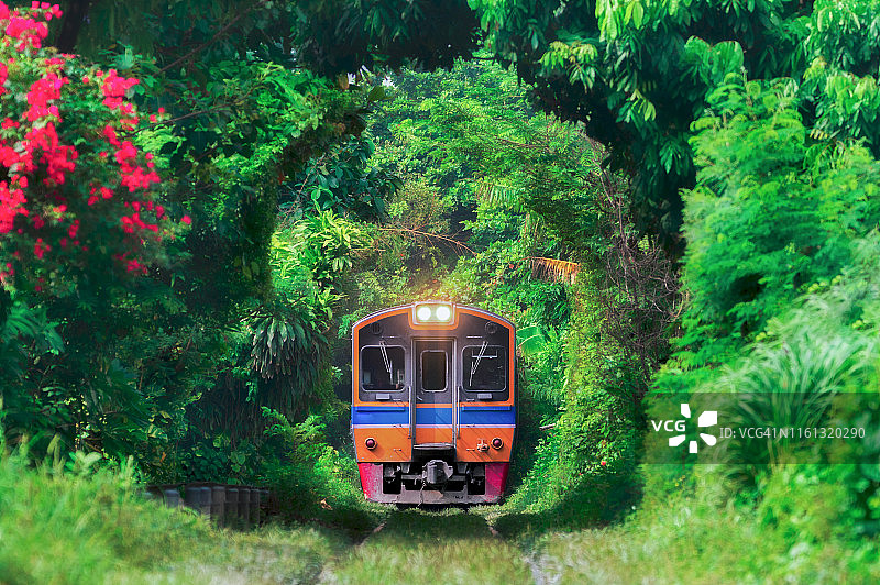 火车运行在树隧道在泰国曼谷的铁路上。图片素材