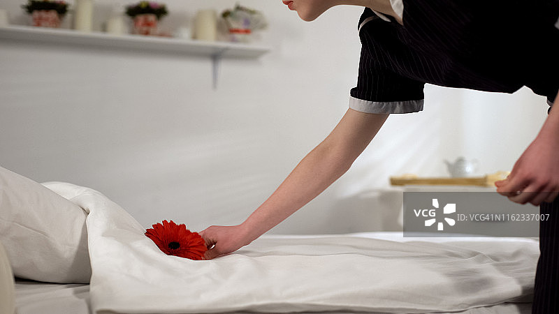 家庭主妇把花放在床单上，柔软干净的亚麻布概念，洗涤剂图片素材