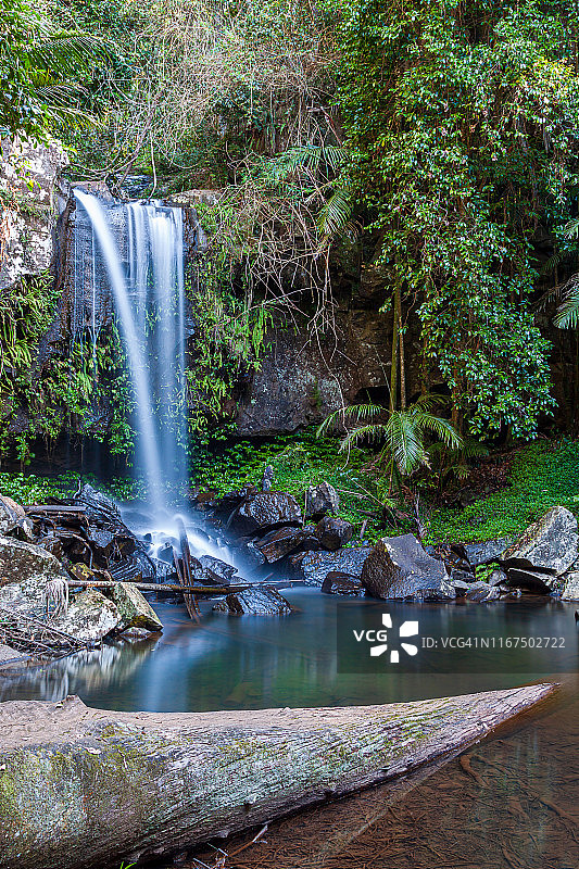 瀑布-柯蒂斯瀑布，Tamborine国家公园-昆士兰图片素材