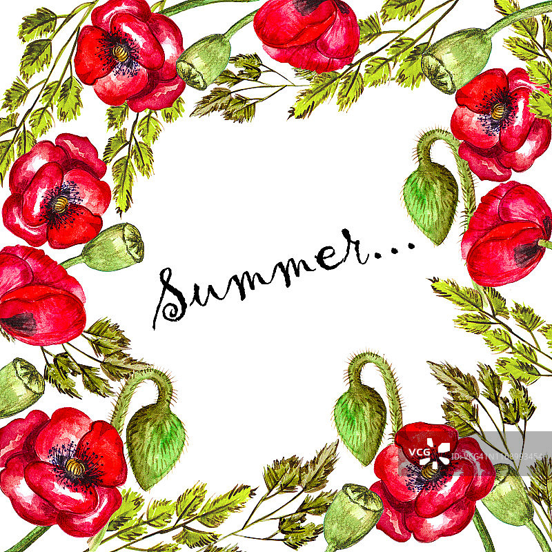 红色罂粟花和小穗的水彩花环图片素材