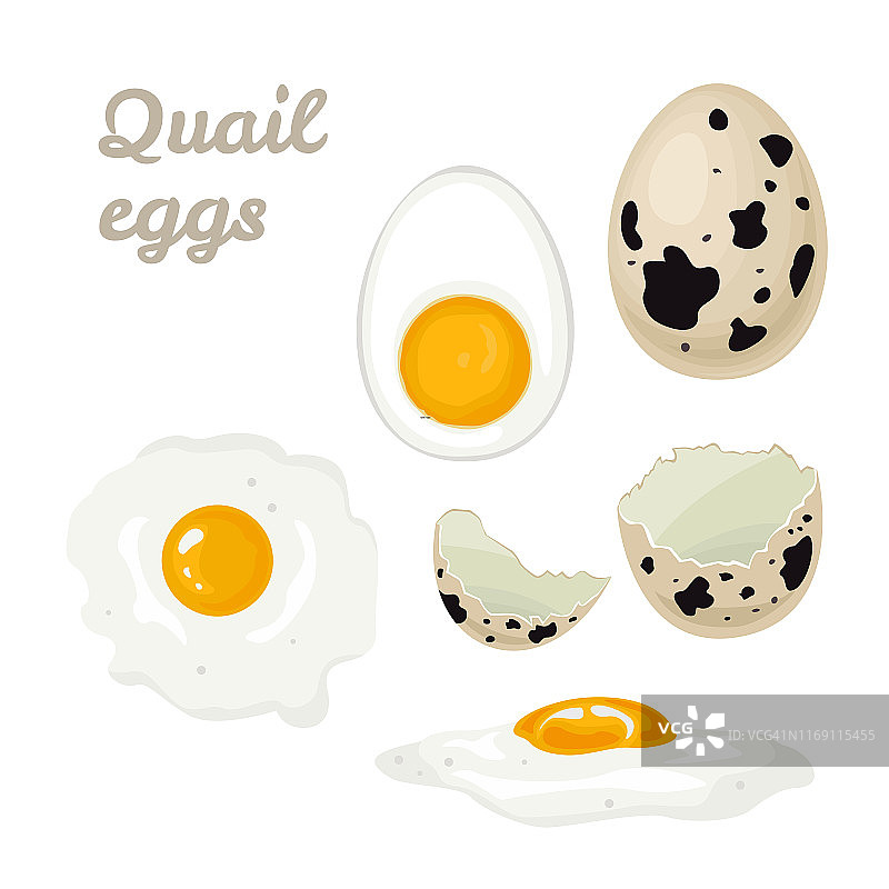 鹌鹑蛋孤立在白色背景设置。一个完整的鸡蛋，一个破壳的矢量插图，煮，煎和半个鸡蛋与蛋黄在卡通简单的平面风格。图片素材