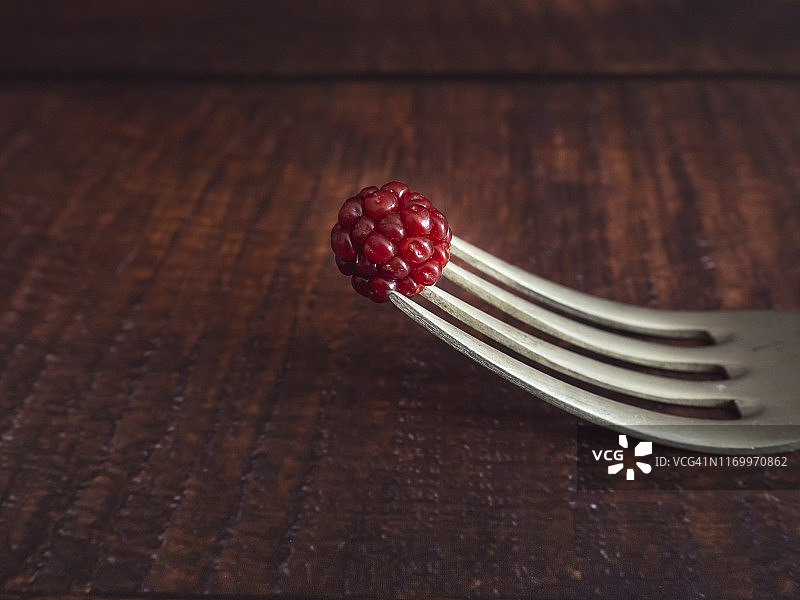 秋天的果实:一把老羊驼叉，上面有刺穿的红黑莓图片素材