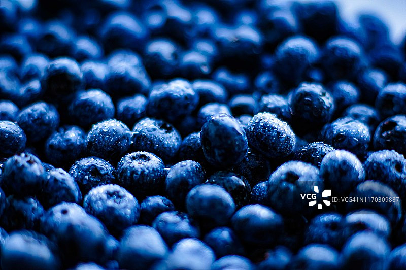 蓝莓背景纹理图片素材