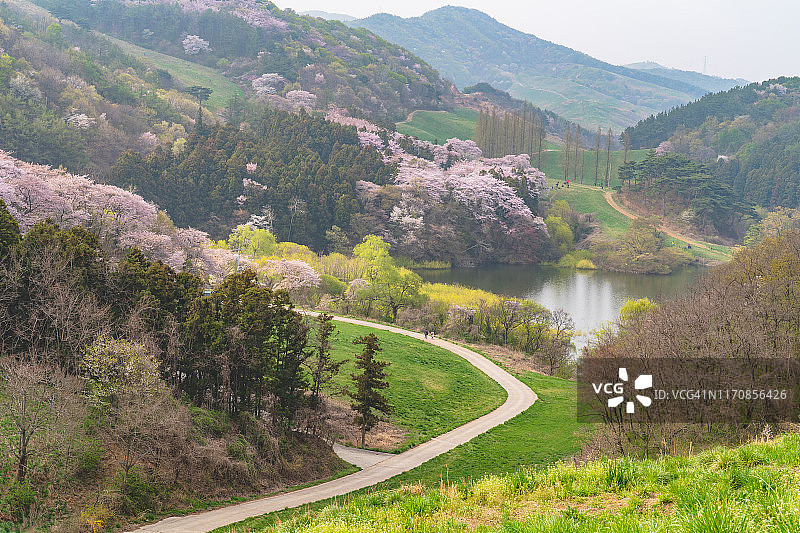 韩国修山永必集的风景图片素材