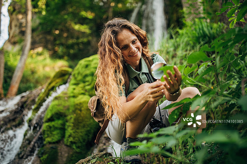 探索自然界植物的女性生物学家图片素材
