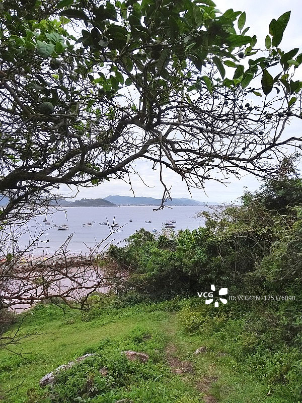 放松的美景Armação海滩Florianópolis -圣卡塔琳娜州，巴西图片素材