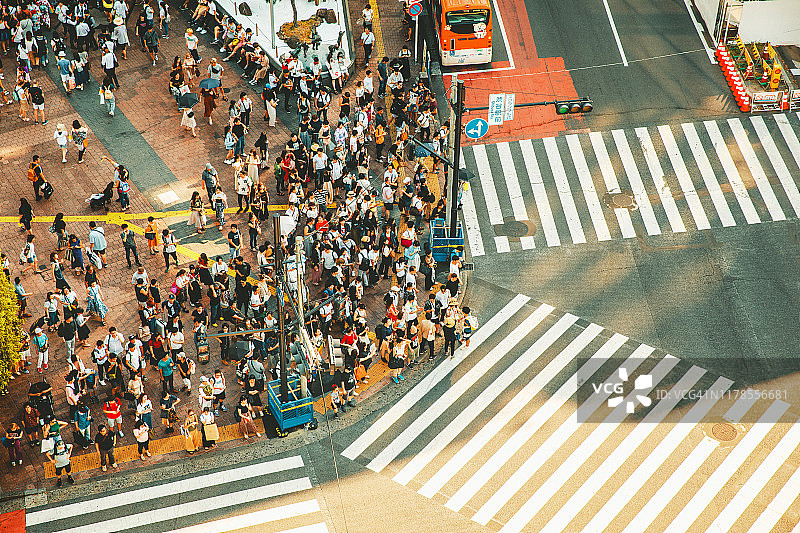 日本东京涩谷鸟瞰图图片素材