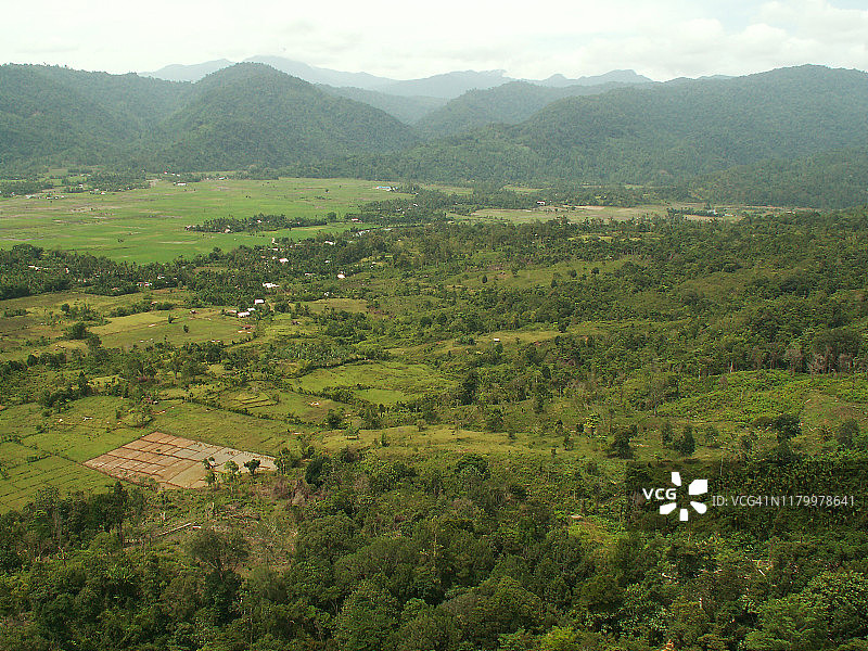 苏门答腊岛的热带雨林图片素材